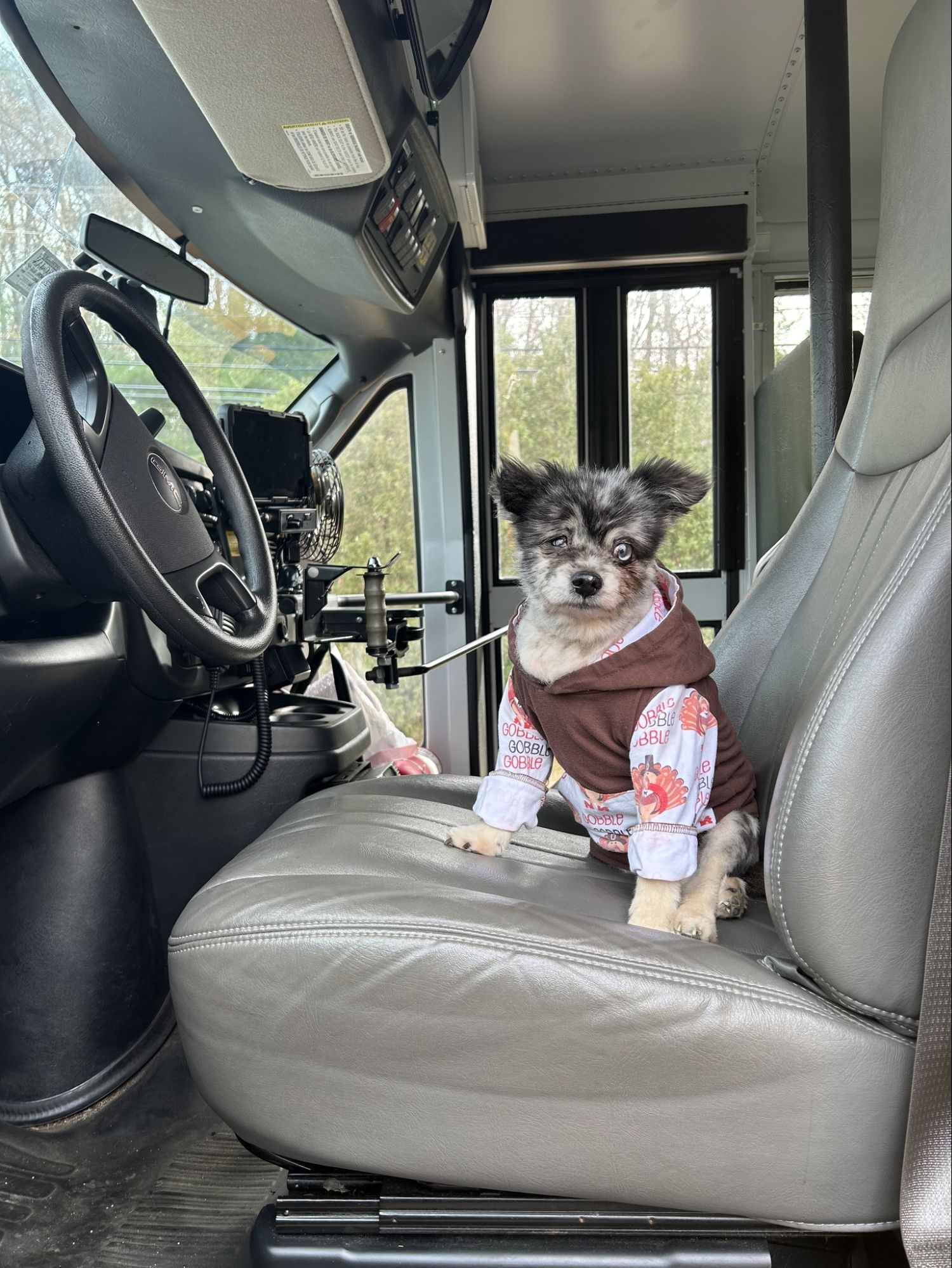 Skip the Parking - Skip the Traffic